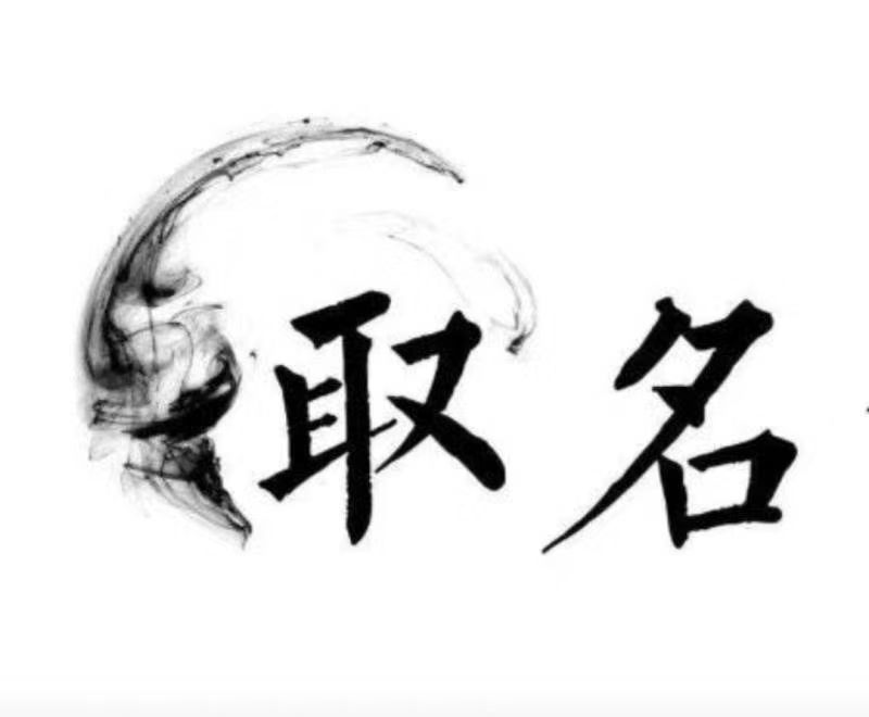  淮上宝宝取名 大师一对一人工起名